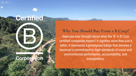 3 Reasons To Buy from a B Corp? Insights by TechForGood