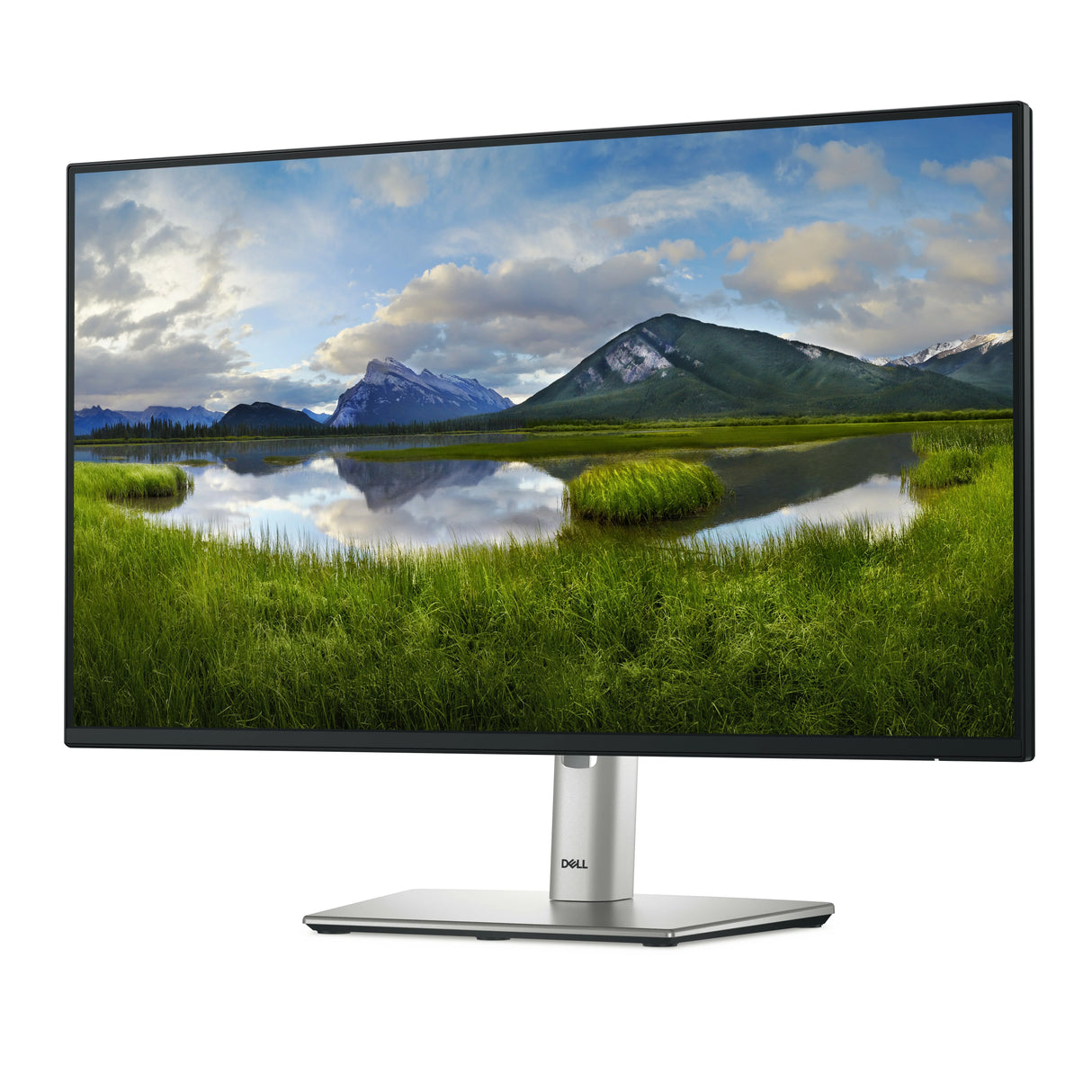DELL P2425H Monitor – 23.8" / Full HD / IPS / 100Hz – Business Monitor