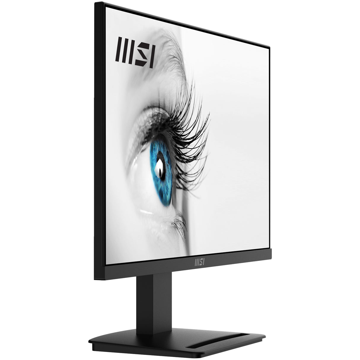 MSI Pro MP2412 Monitor (23.8")