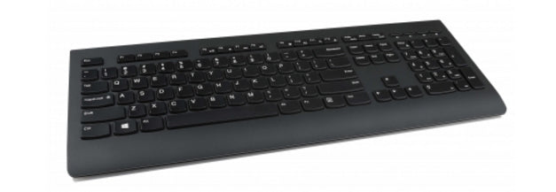 LENOVO Professional Wireless US English Keyboard