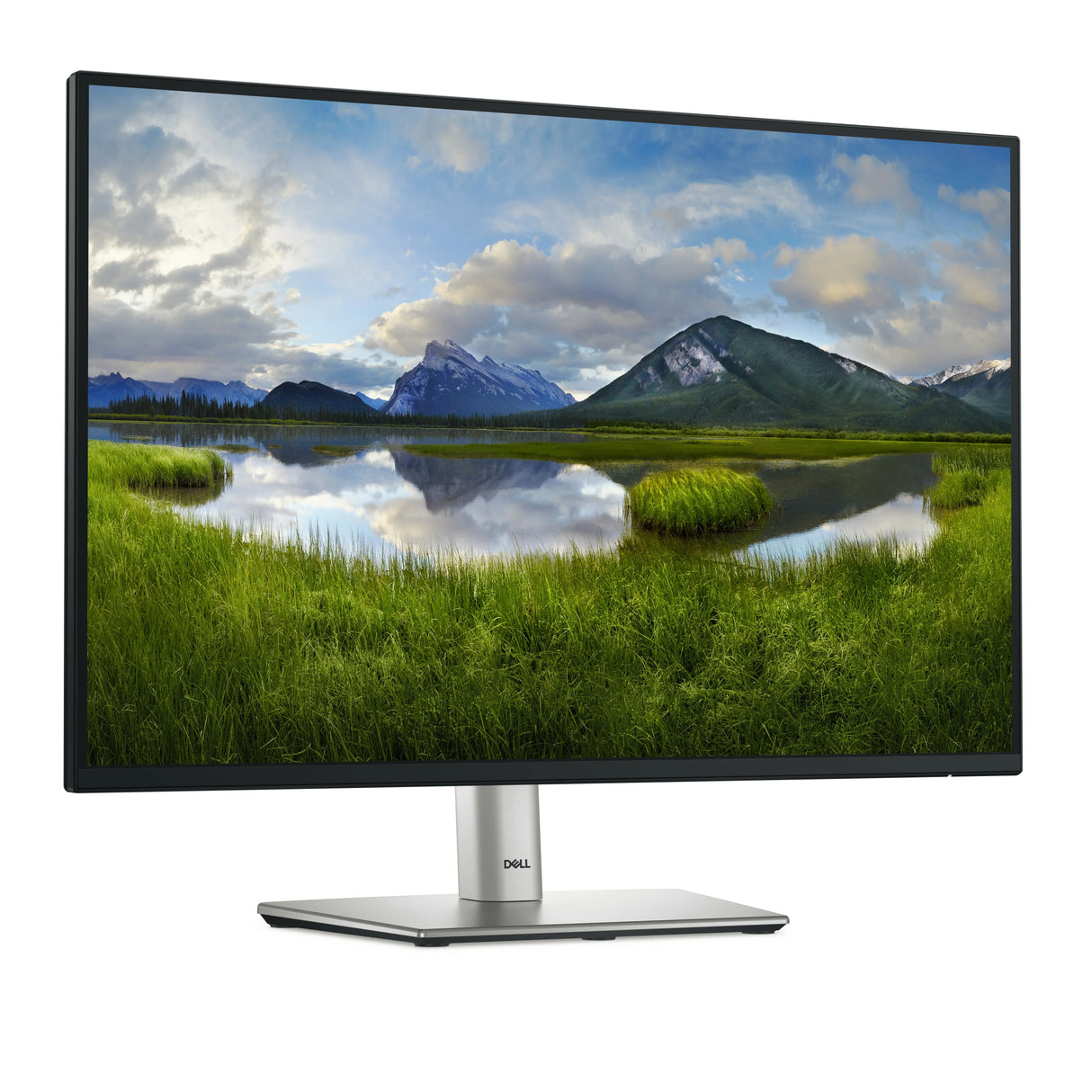 DELL P2425 Monitor – 24.1" / Full HD / IPS / 60Hz – Business Monitor