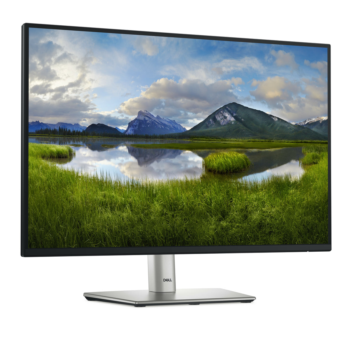 DELL P Series P2425E Monitor (24.1")
