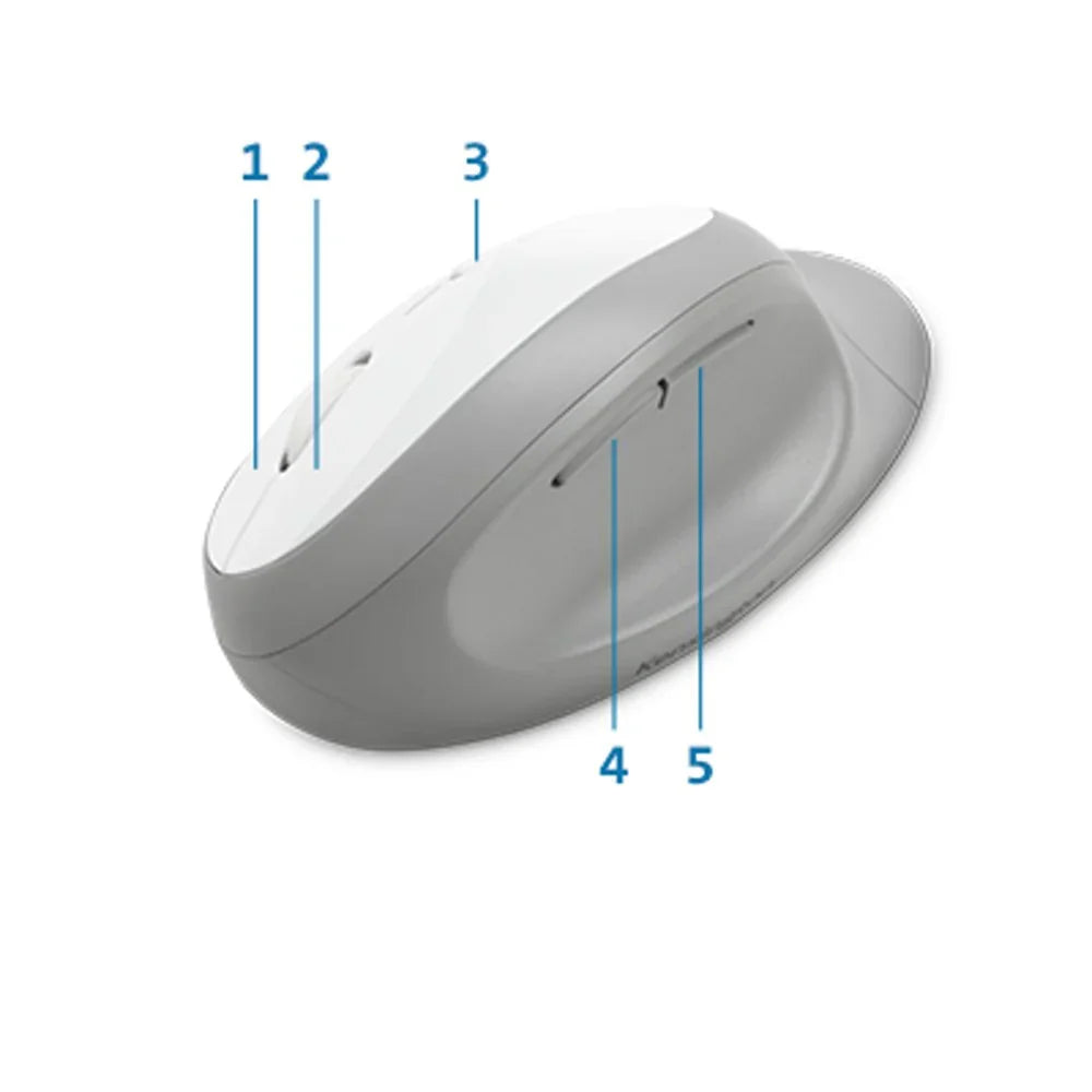 KENSINGTON Pro Fit Ergo – Wireless (Bluetooth + 2.4GHz) / 1600 DPI / Ergonomic – Office Ergonomic Mouse