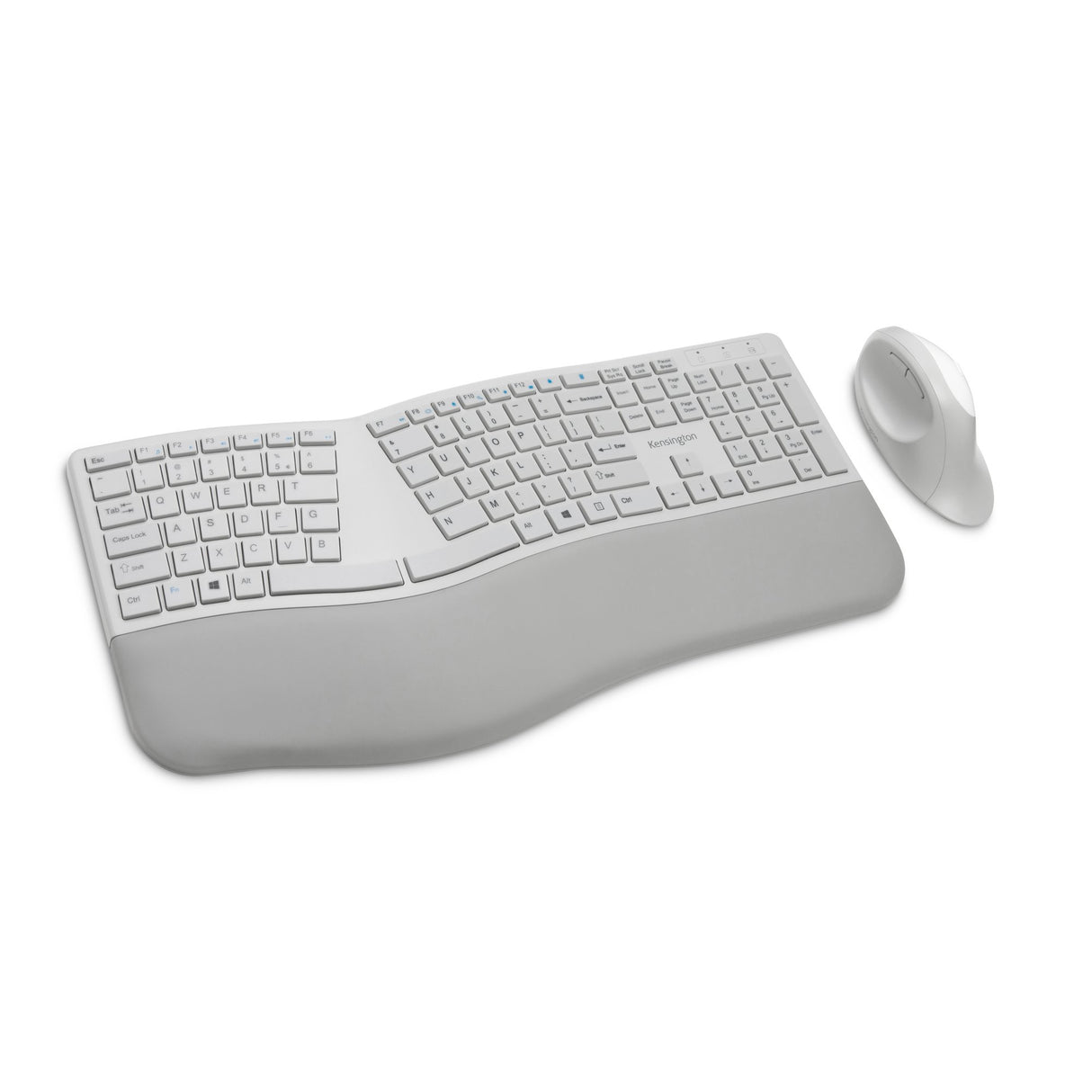 KENSINGTON Pro Fit Ergo Wireless and Keyboard