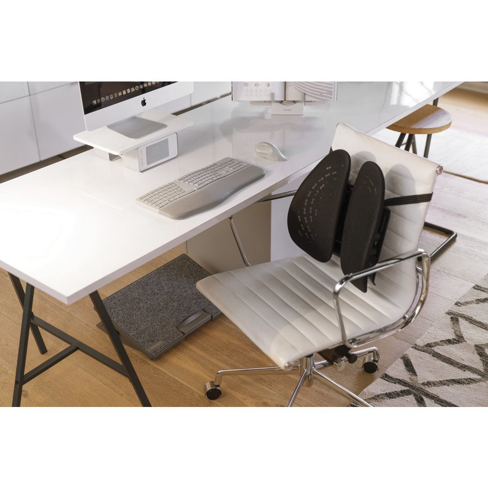 KENSINGTON Pro Fit Ergo Wireless Mouse