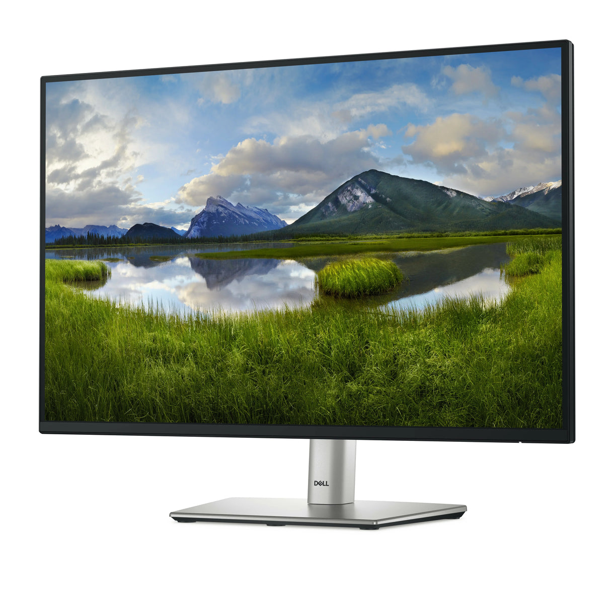 DELL P2425 Monitor – 24.1" / Full HD / IPS / 60Hz – Business Monitor