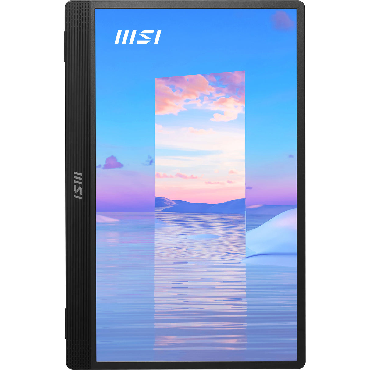 MSI PRO MP161 Monitor (15.6")