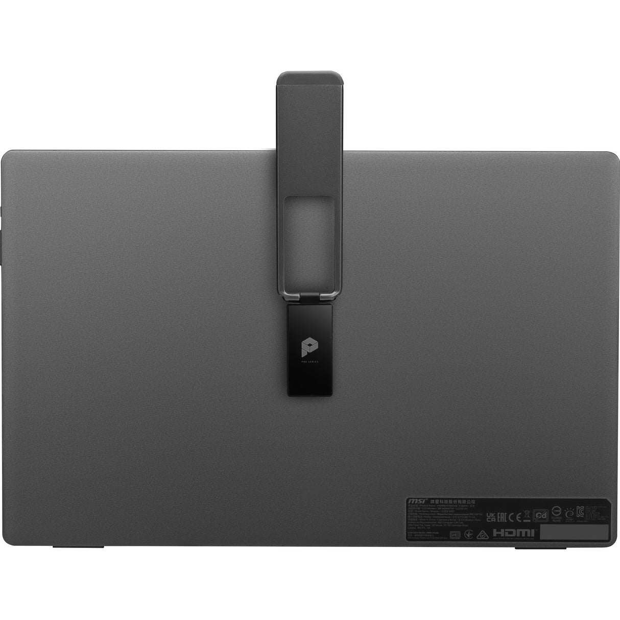 MSI PRO MP161 Monitor (15.6")