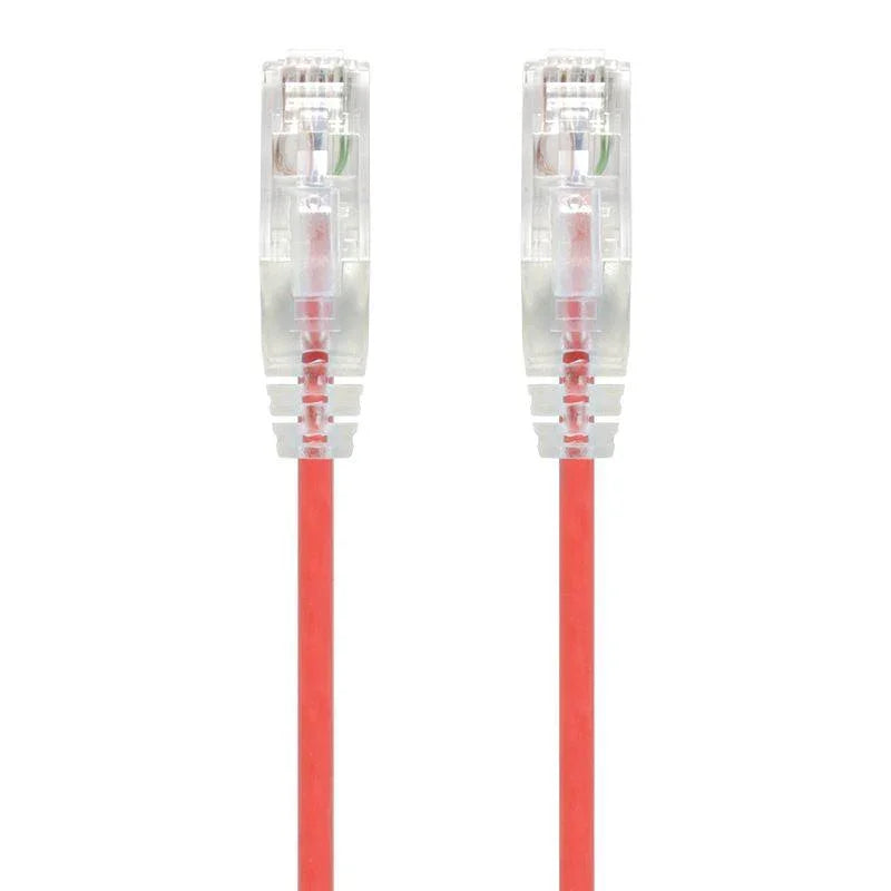 ALOGIC 0.3m Red Series Alpha Ultra Slim Cat6 Network Cable | UTP | 28AWG (C6S-0.30RED)