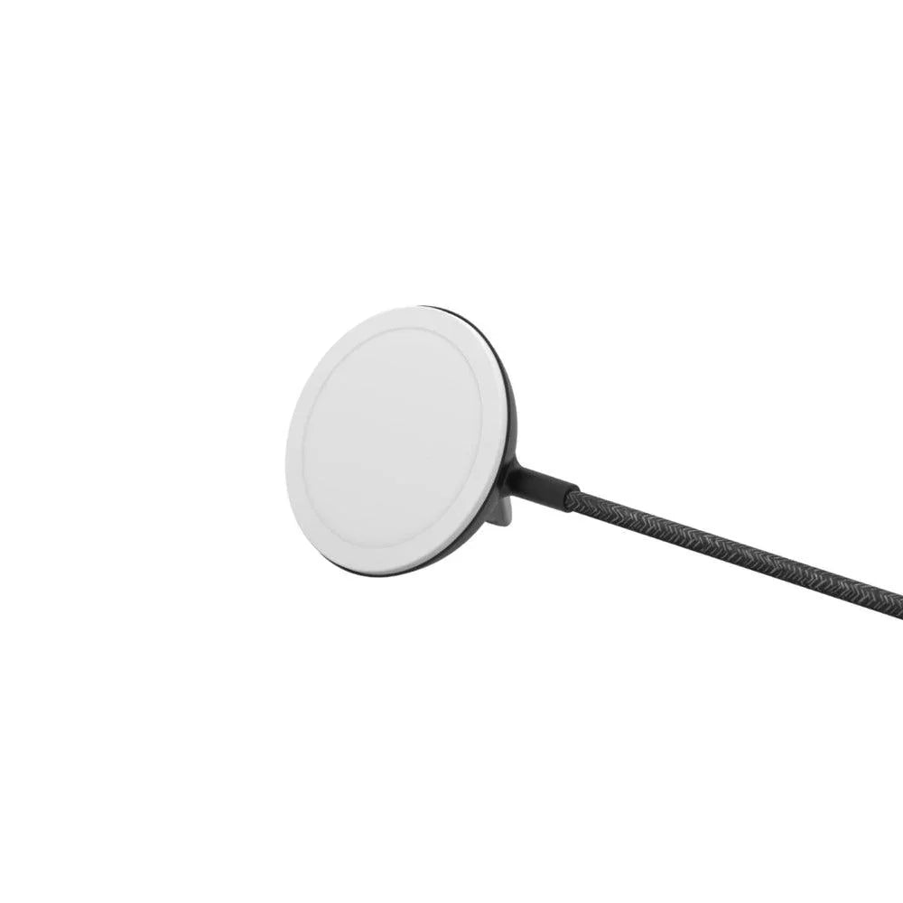 Belkin WIA004auBK Black, White Indoor