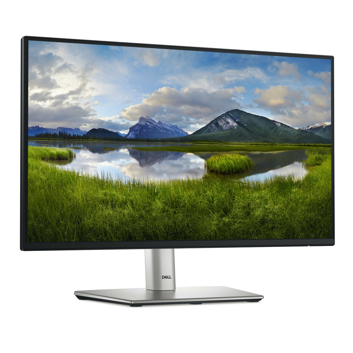DELL P2225H Monitor – 21.5" / Full HD / IPS / 100Hz – Business Monitor