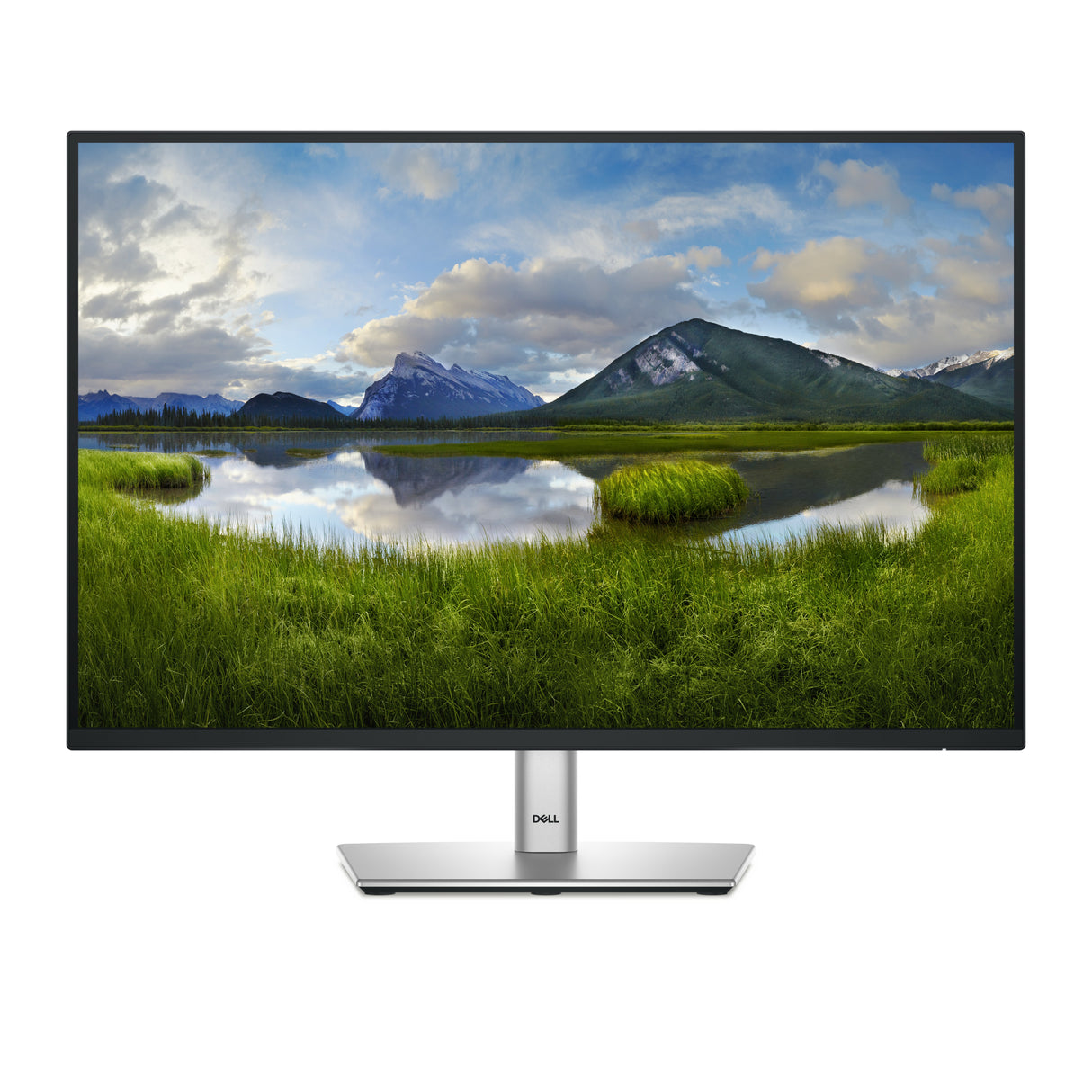 DELL P Series P2425E Monitor (24.1")