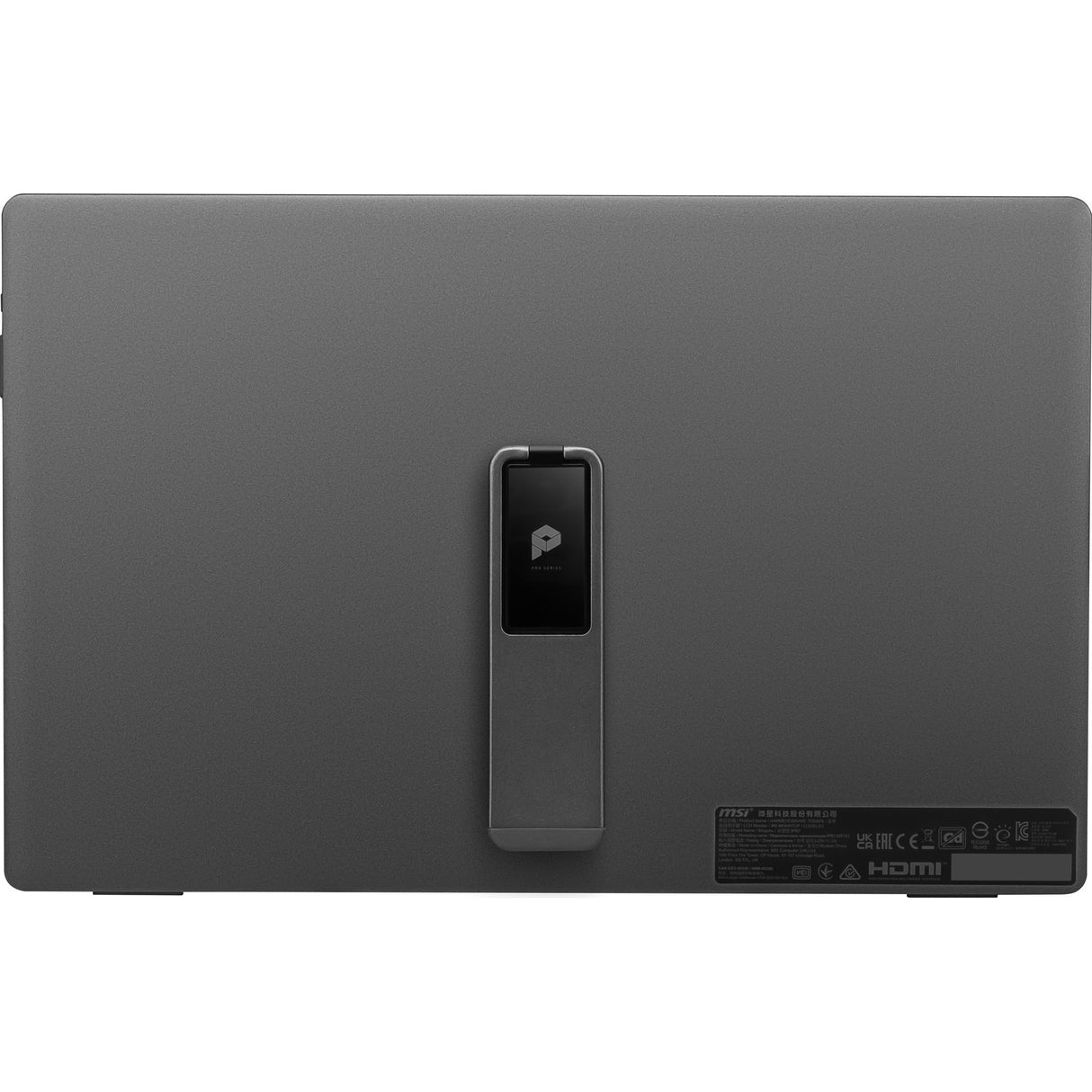 MSI PRO MP161 Monitor (15.6")