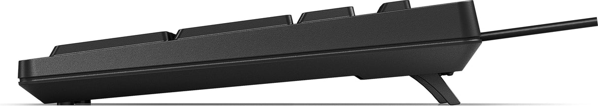 HP 125 Wired Keyboard (266C9AA)