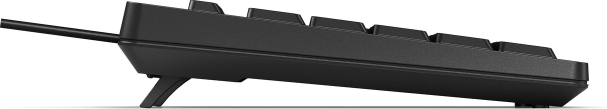 HP 125 Wired Keyboard (266C9AA)
