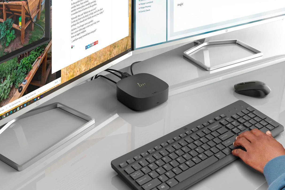 HP 330 Wireless Mouse and Keyboard Combination (2V9E6AA)