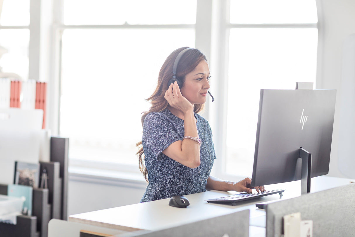 HP Wireless Premium Mouse (1JR31AA)