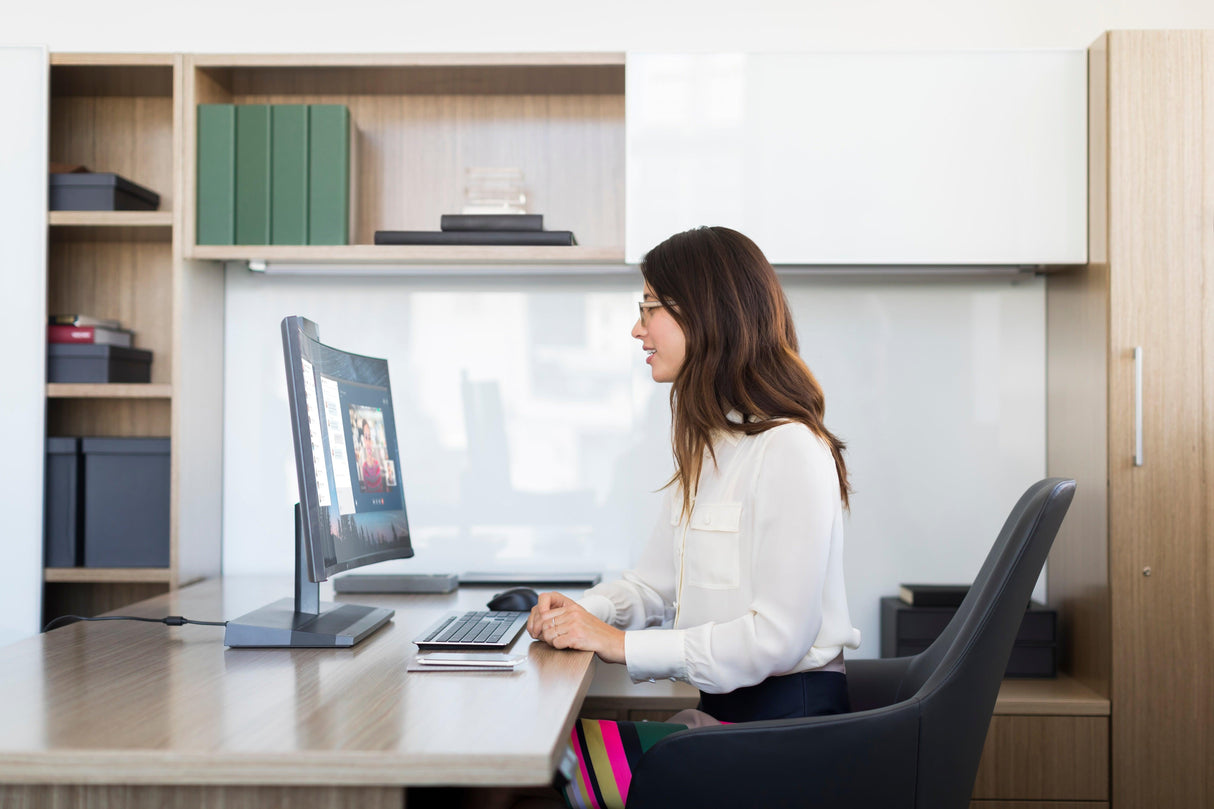 HP Wireless Premium Mouse (1JR31AA)