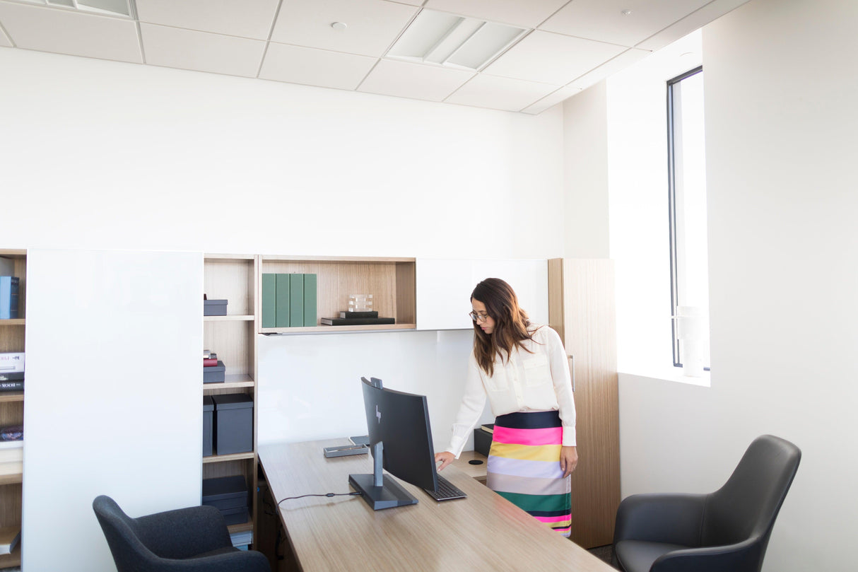 HP Wireless Premium Mouse (1JR31AA)