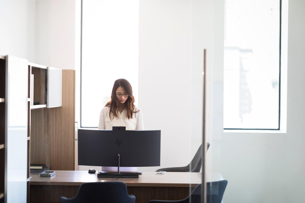 HP Wireless Premium Mouse (1JR31AA)