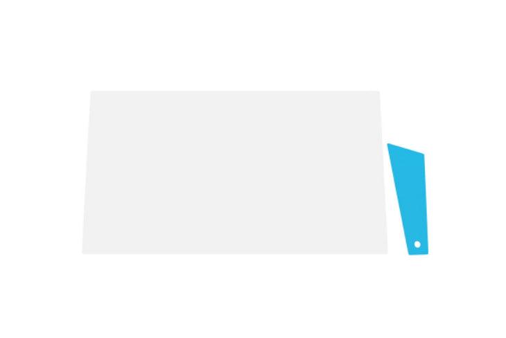 Panasonic FZ-VPF39U notebook accessory Notebook screen protector