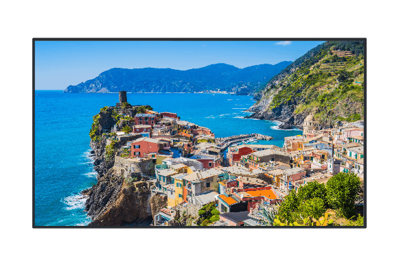 PANASONIC TH-65EQ2W 65 4K LCD Display - 18/7, Brightness (500-cd/m2), 4K Media Support, Portrait mode, Intel SDM ready