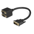 STARTECH 1ft DVI Splitter Cable - M | F - DVI-D to 2x DVI-D Dual Video Splitter for Your Split Screen Computer Monitor (DVISPL1DD) (DVISPL1DD)