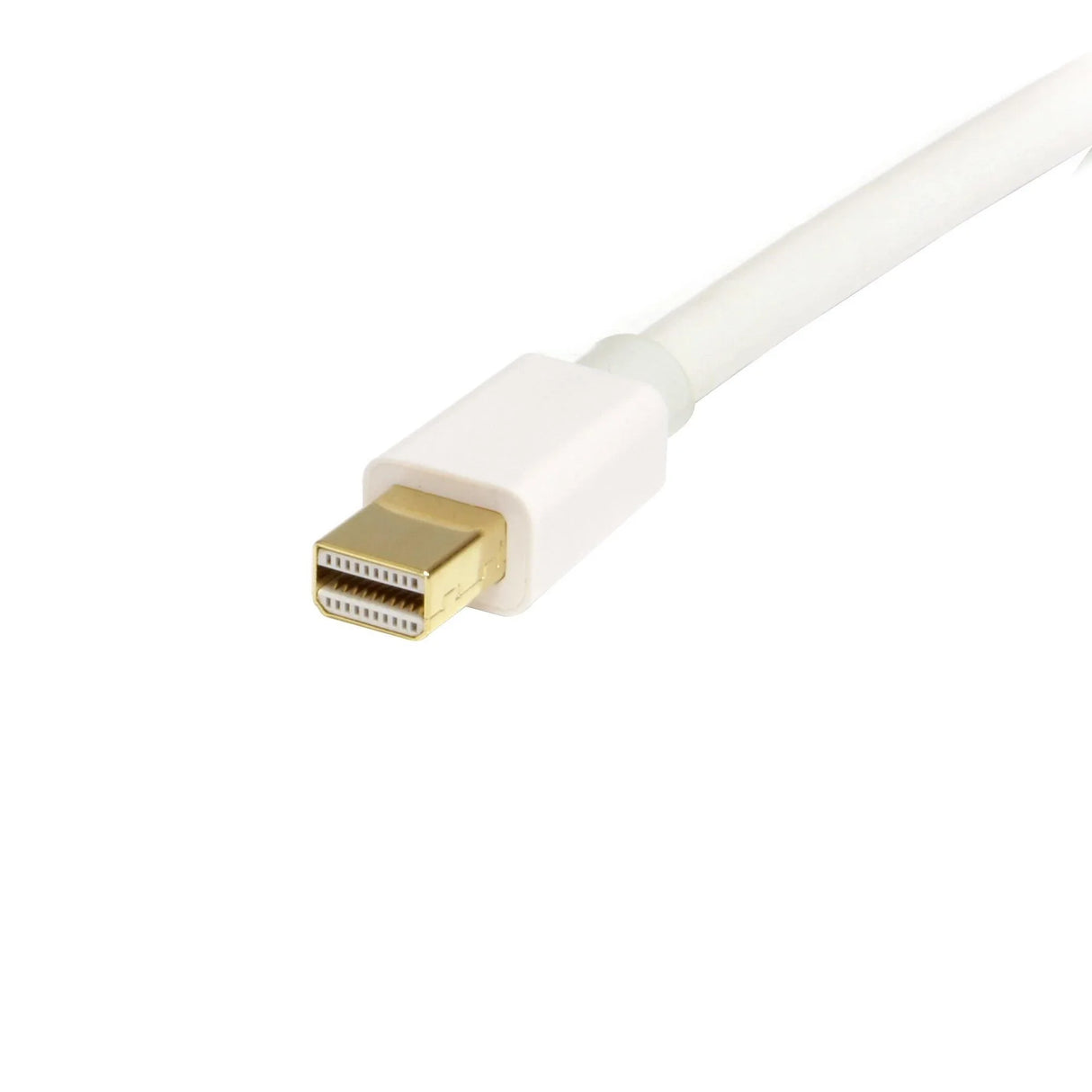 STARTECH 2m (6ft) Mini DisplayPort to DisplayPort 1.2 Cable - 4K x 2K UHD Mini DisplayPort to DisplayPort Adapter Cable - Mini DP to DP Cable for Monitor - mDP to DP Converter Cord (MDP2DPMM2MW) (MDP2DPMM2MW)