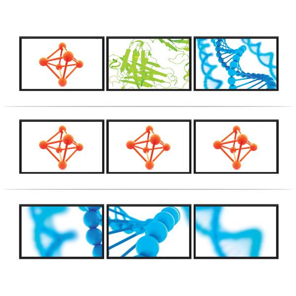 STARTECH 3-Port Multi Monitor Adapter - DisplayPort 1.2 MST Hub - Dual 4K 30Hz & 1x 1080p - Video Splitter for Extended Desktop Mode on Windows PCs Only - DP to 3x DP Monitors (MSTDP123DP) (MSTDP123DP)