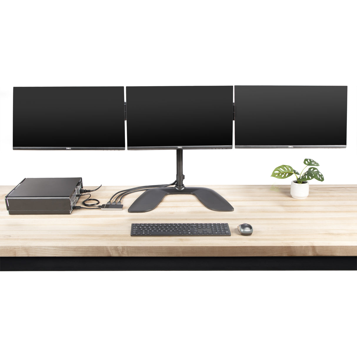 STARTECH 3-Port Multi Monitor Adapter - DisplayPort 1.4 to 3x 4K DisplayPort Video Splitter - Dual or Triple 4K - Laptop|Desktop DisplayPort MST Hub for Multiple Monitors - For Windows PCs Only (MST14DP123DP) (MST14DP123DP)