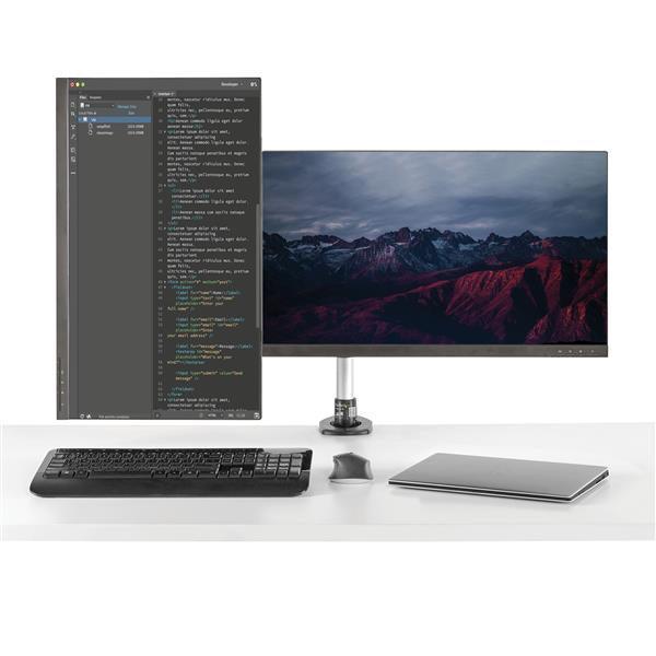 STARTECH Desk Mount Dual Monitor Arm - Full Motion - Premium Dual Monitor Stand - For up to 30” VESA Monitors - Tool-less (ARMDUAL30) (ARMDUAL30)