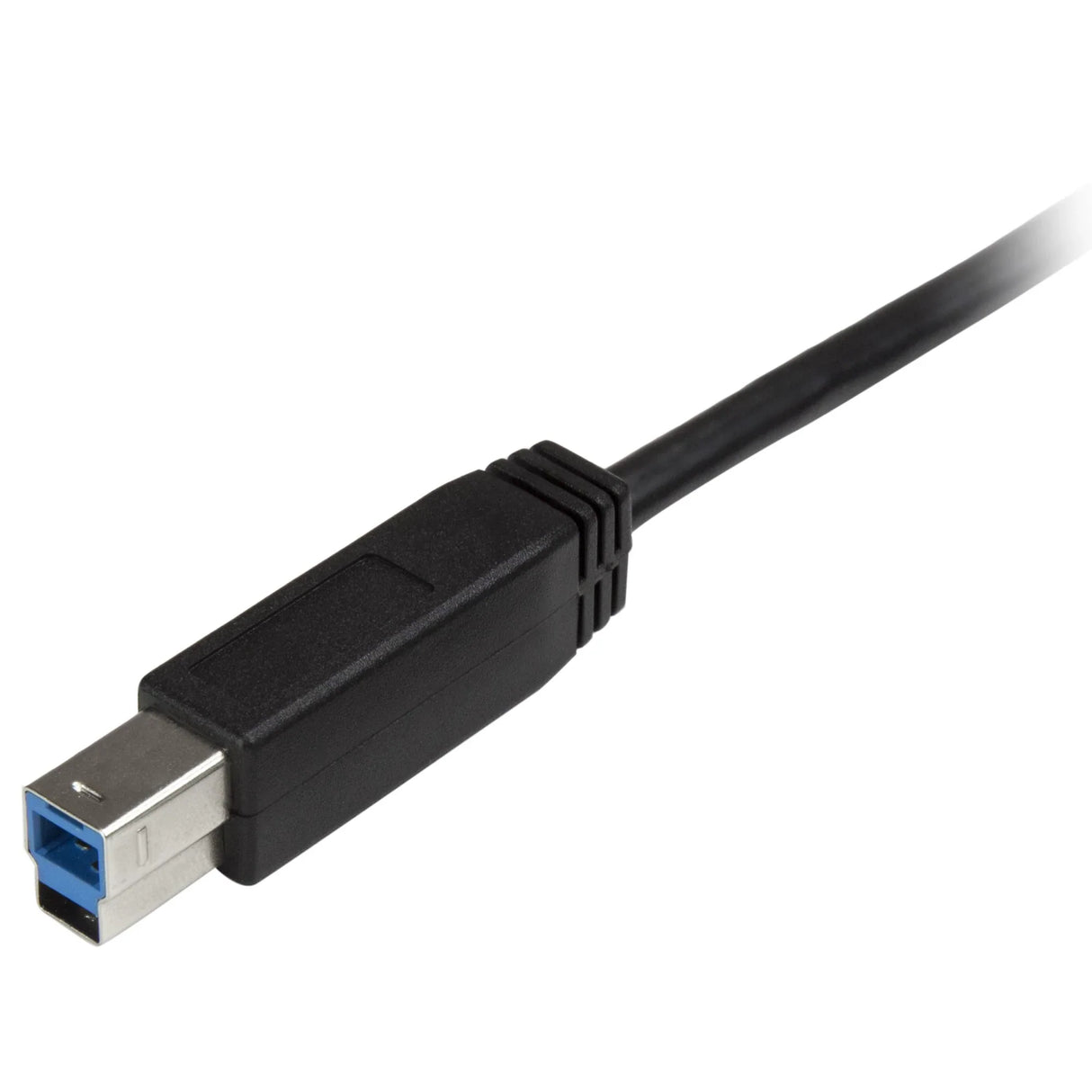 STARTECH USB C to USB B Printer Cable | 6 ft | 2m | USB C Printer Cable | USB C to USB B Cable | USB Type C to Type B (USB315CB2M) (USB315CB2M)