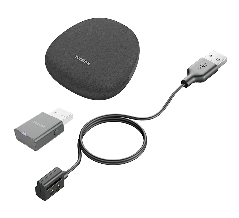 Yealink Portable Accessory Kit for WH62/66, Carry Case, Charging Cable, WDD60 DECT Dongle