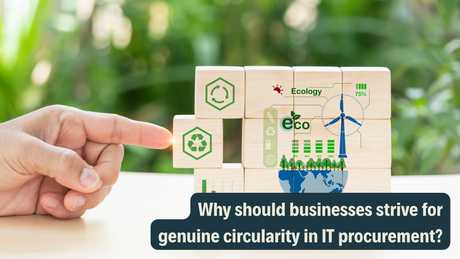 Beyond Product Lifespans: A Roadmap to Circular IT for Purpose-Driven Businesses