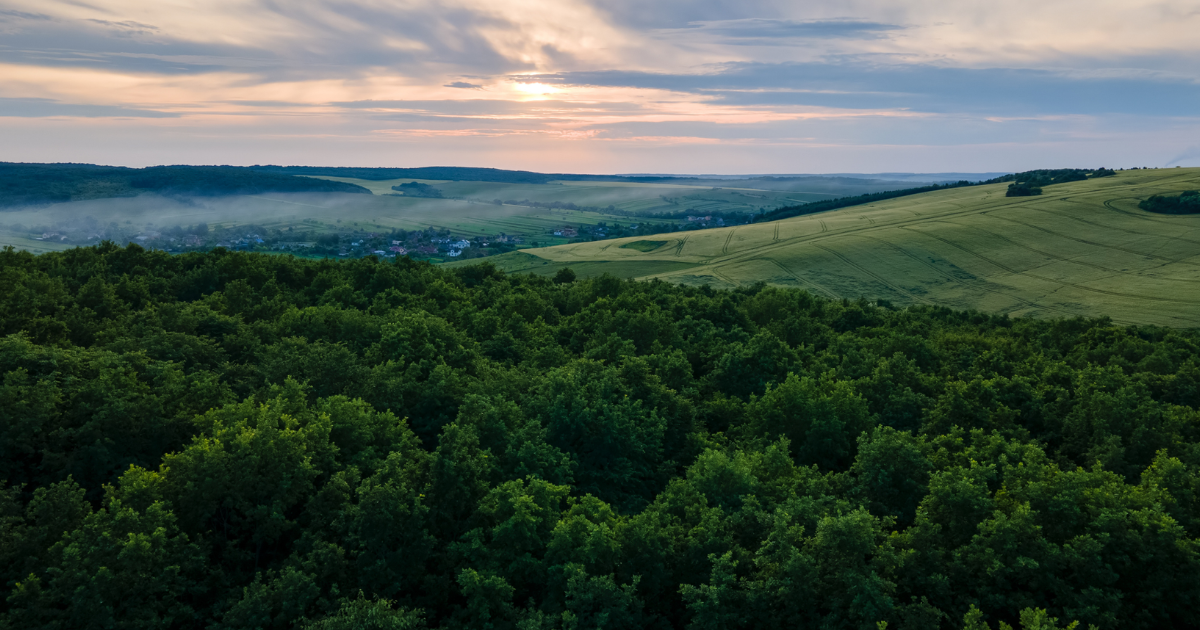 TechForGood Achieves Carbon Credited Certification – A Sustainability Milestone