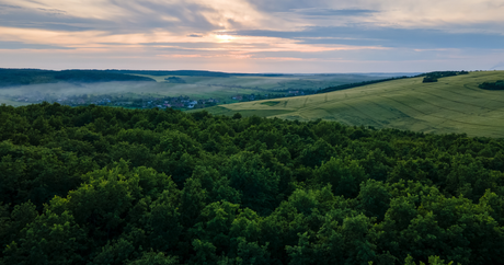 TechForGood Achieves Carbon Credited Certification – A Sustainability Milestone