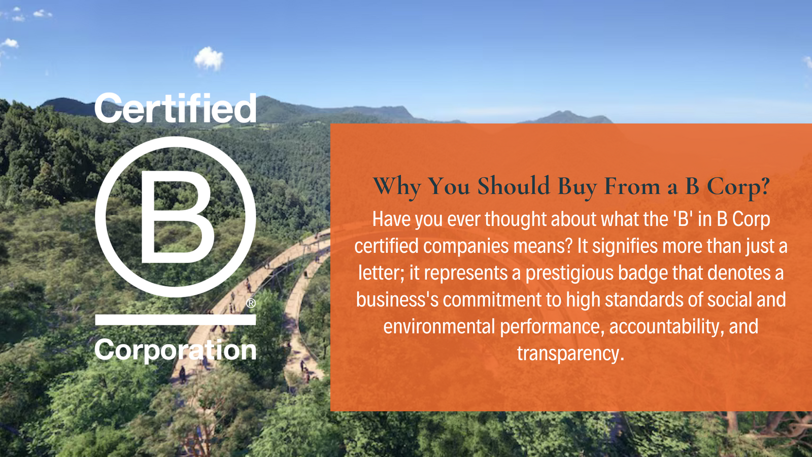 3 Reasons To Buy from a B Corp? Insights by TechForGood