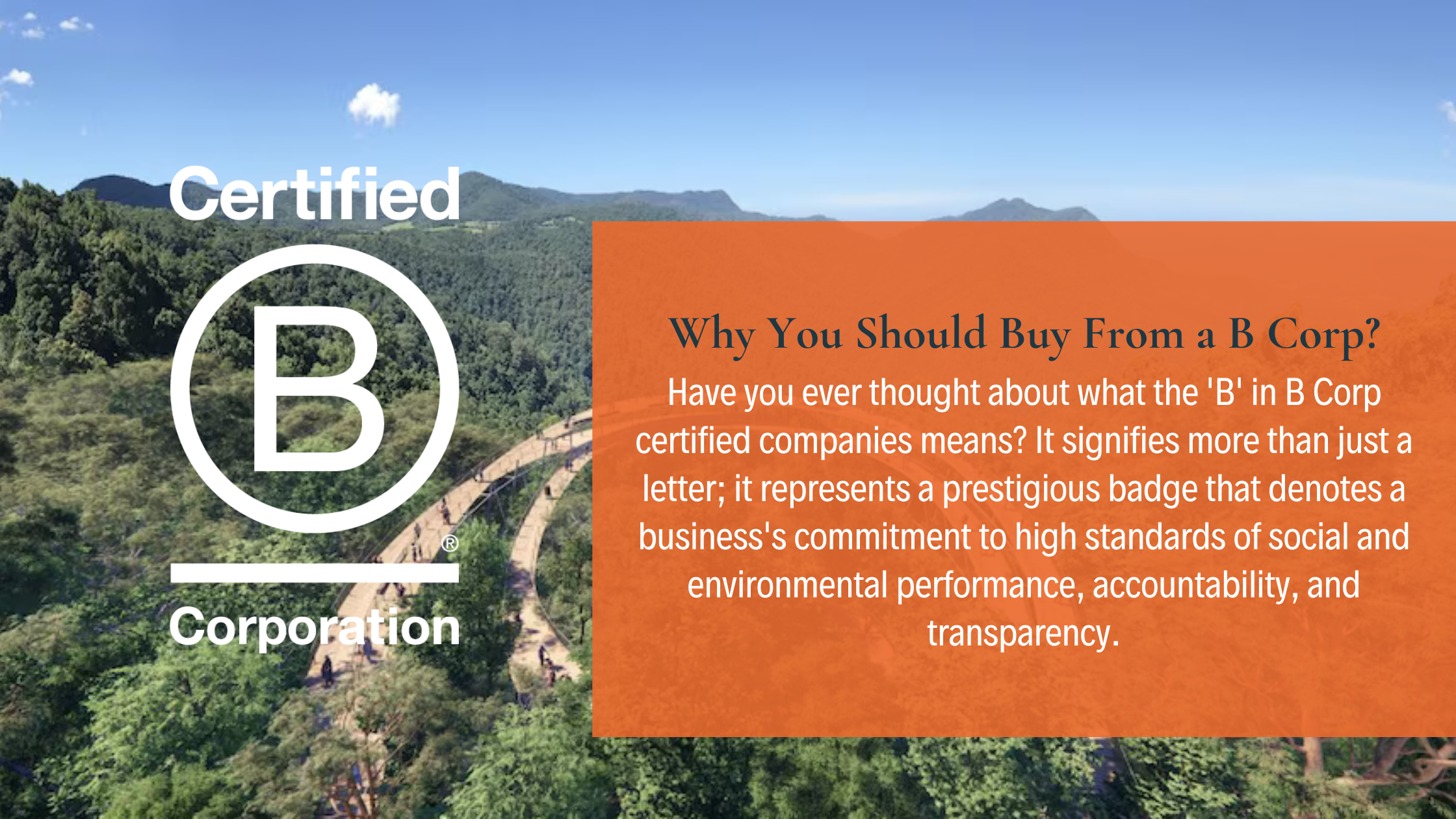 3 Reasons To Buy from a B Corp? Insights by TechForGood