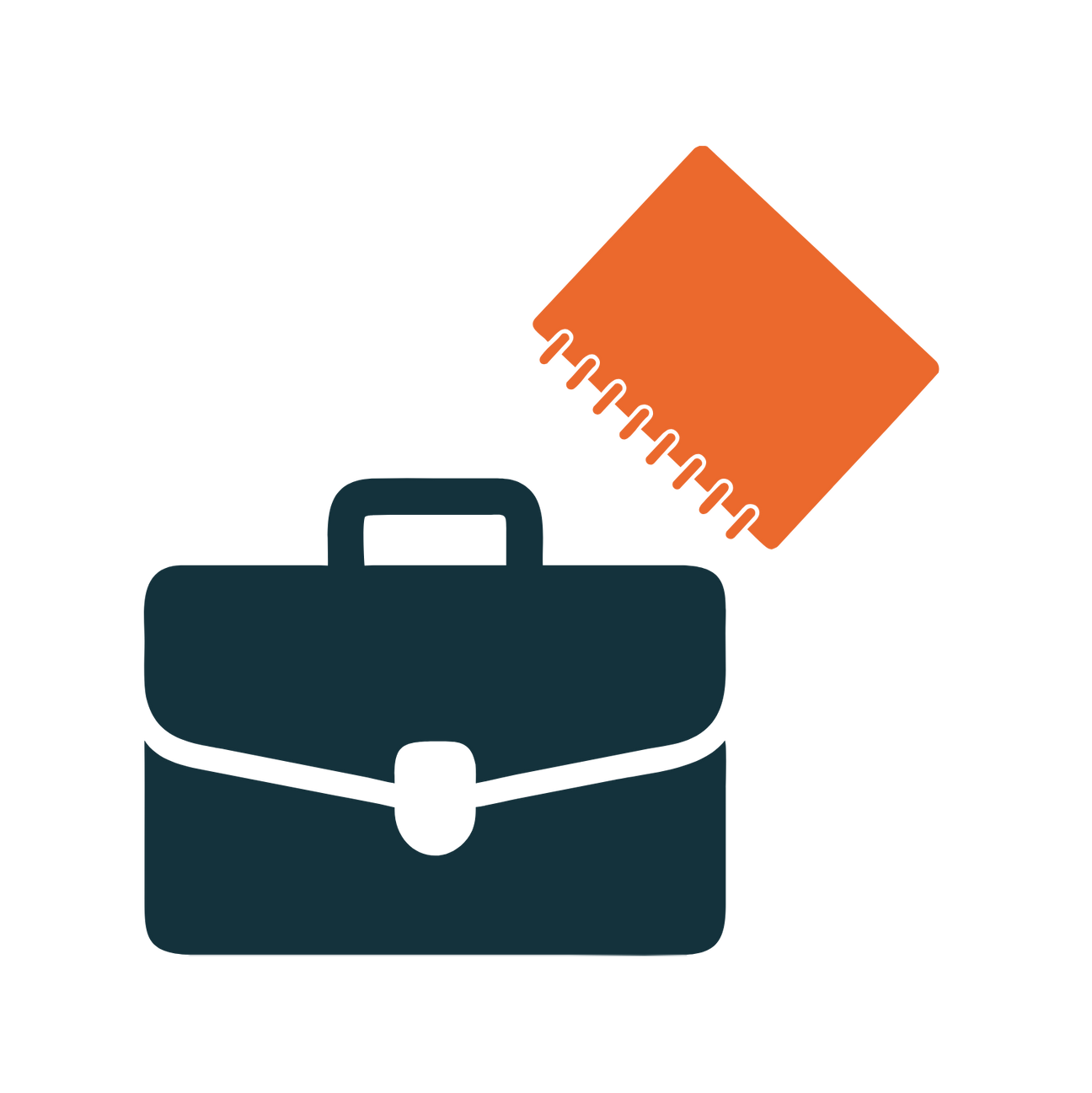 Case, Bags & Sleeves