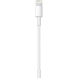 APPLE Lightning and USB Data Transfer Cable