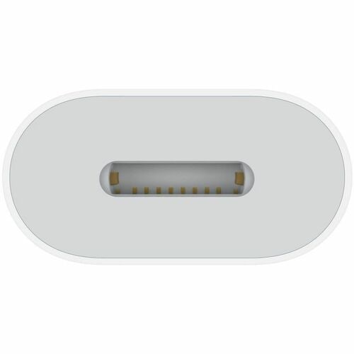 APPLE USB-C to Lightning Adapter