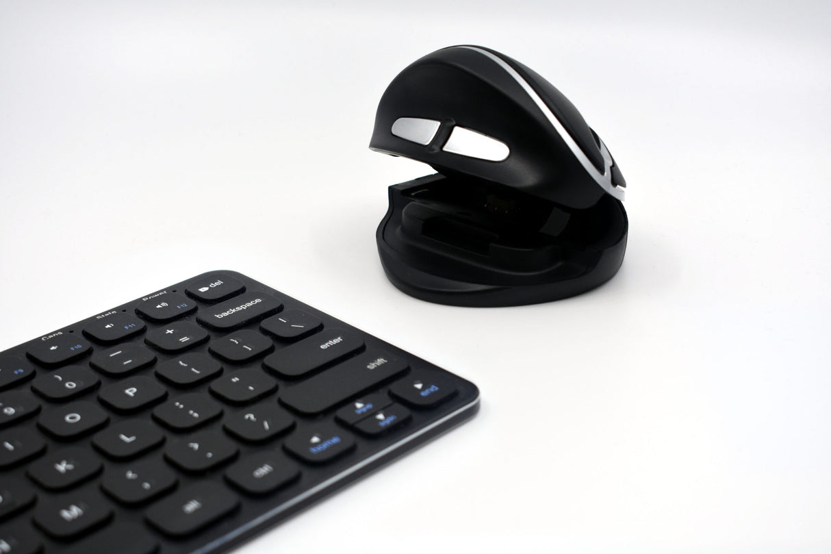 OysterMouse Wireless