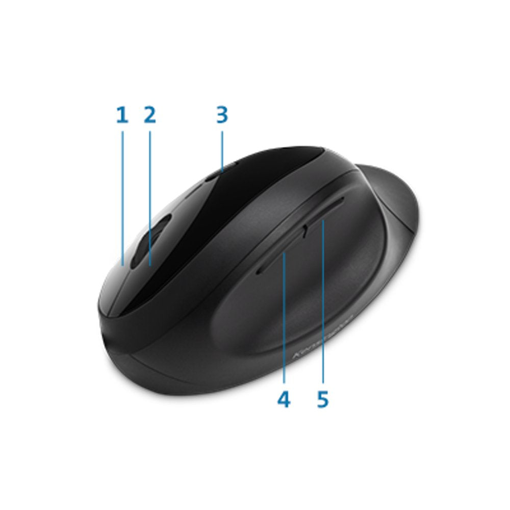 KENSINGTON Pro Fit Ergo Wireless Mouse