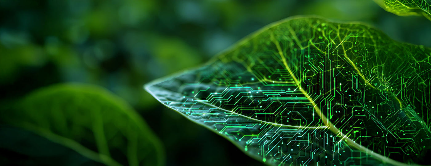 Carbon neutral IT procurement in Australia – TechForGood ISO and B Corp certified