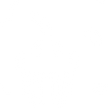 4 — Secure data wiping