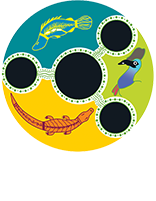 Organisation logo