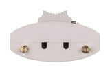D-LINK Nuclias Wireless AC1300 Wave 2 Outdoor Cloud‑Managed Access Point (DBA-3620P)