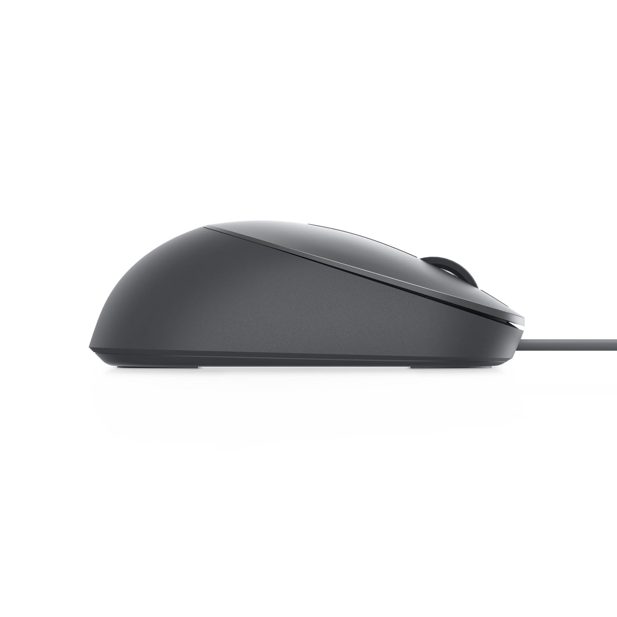 DELL USB 2.0 | 3200 dpi | 6.29 x 11.53 x 3.89 cm | 98 g (570-ABDN)