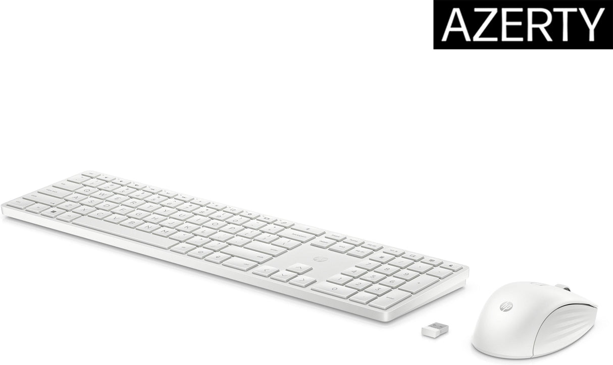 HP 650 Wireless Keyboard and Mouse Combo (4R016AA)