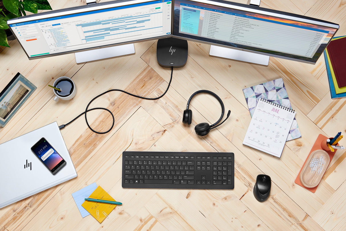 HP Wireless Premium Mouse (1JR31AA)
